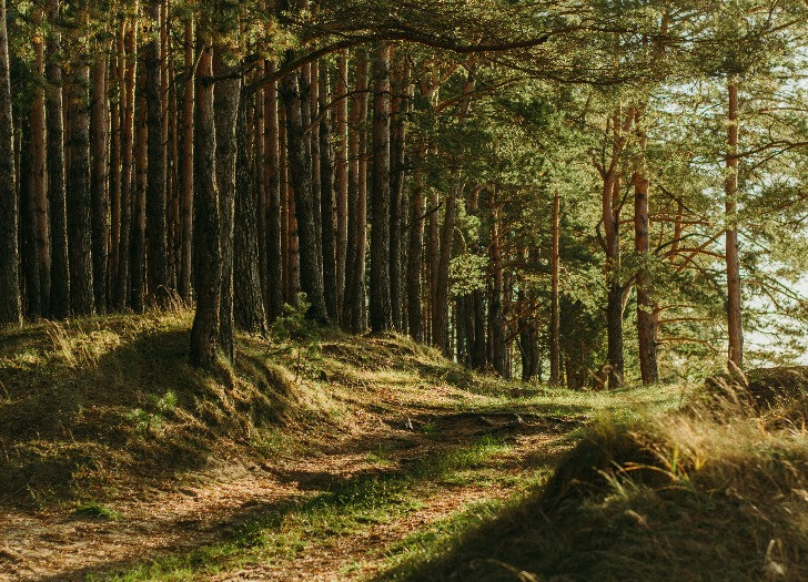 FIU Latvia strengthens the capacity to detect environmental crime and related money laundering